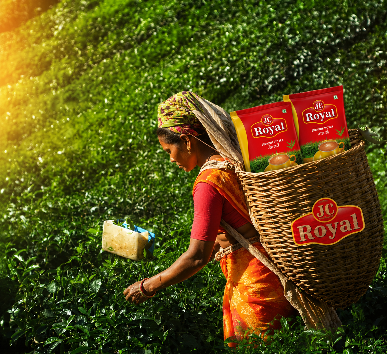What We Do - Tea Plucking